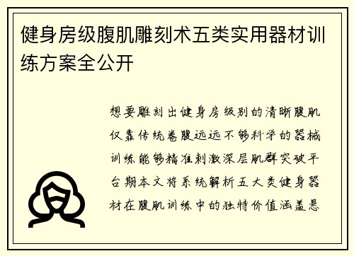 健身房级腹肌雕刻术五类实用器材训练方案全公开