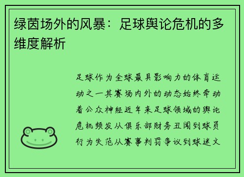 绿茵场外的风暴：足球舆论危机的多维度解析